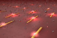 Sensors òptics basats en plasmons que actuen com a pinces per atrapar cèl·lules cancerígenes