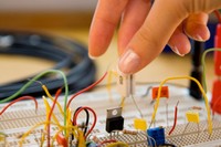 Foto guanyadora de l'edició 2009