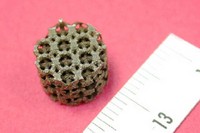 Nou aliatge de titani per a reconstruccions òssies.