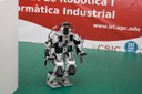 El robot Dorami sortejant un obstacle