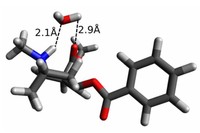 Molècula de la cocaïna