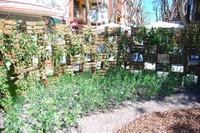 Una imatge de la instal·lació Espiral. Fotografia de Xavier Fàbregas