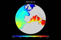 Mapa de salinitat del mar Mediterrani elaborat pel BEC