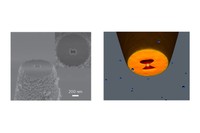 A l’esquerra, imatge feta amb un microscopi electrònic de l'extremitat de les nano-pinces plasmòniques. A la dreta, Il•lustració de la captura d'una nanopartícula en l'obertura amb forma de corbata de llaç.