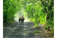 'Apostant pel futur', de la professora’ Elvira Peris, primer premi de la categoria Realitat.