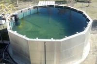 Imatge de la bassa solar de la planta de Solvay a Martorell