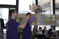 Cristian Reyes i Alejandro Domingo, estudiants de la UPC, a la fase nacional de l'EBEC