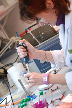 científica-ibec-bioenginyeria