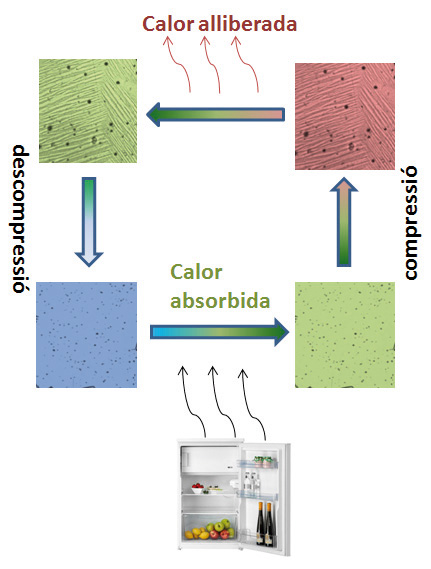nou material per fer sistemes de refrigeració més ecològics, eficients i econòmics