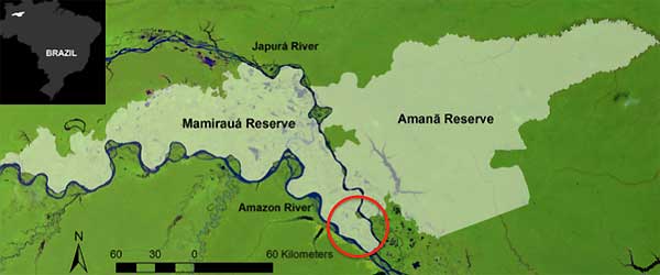 regió de l&rsquo;amazones en la qual es duran a terme les proves del projecte providence