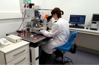 La UPC manté el seu bon posicionament als rànquings internacionals