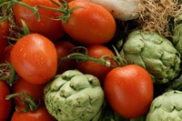 Al 2012 es realitzaran asaigs i estudis per posar les varietats a disposició dels productors.